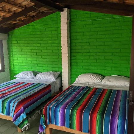 Casa Frida Vallarta Hotel ปูแอร์โตบาญาร์ตา ภายนอก รูปภาพ